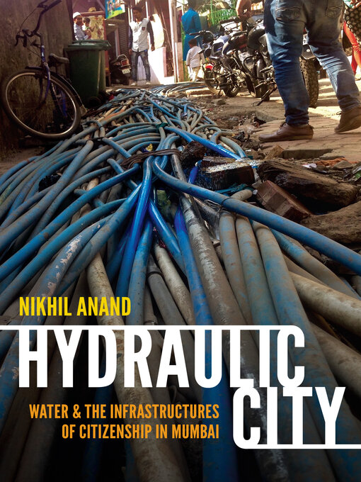 Title details for Hydraulic City by Nikhil Anand - Available